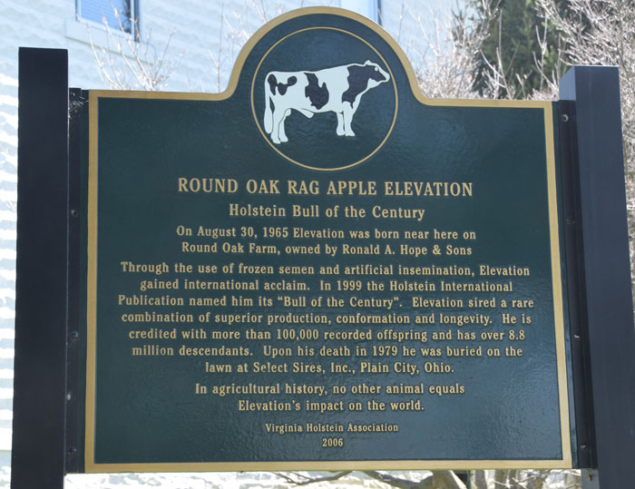 Round Oak Rag Apple Elevation