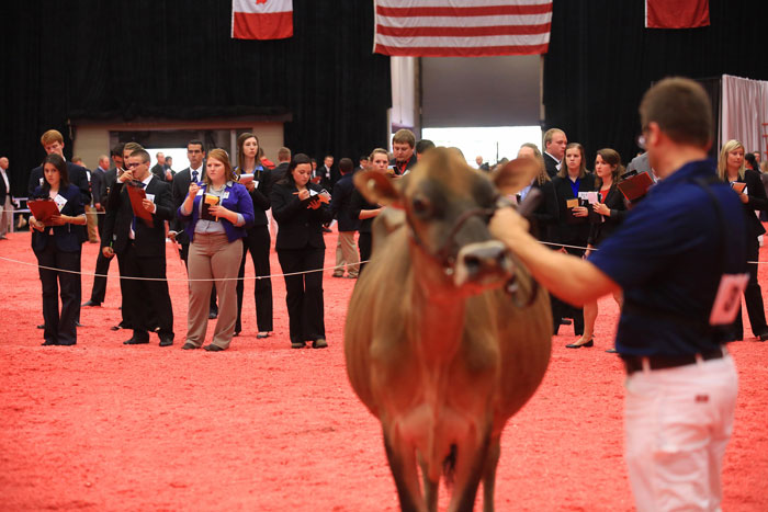 College participants carefully deliberate a Jersey class in 2014